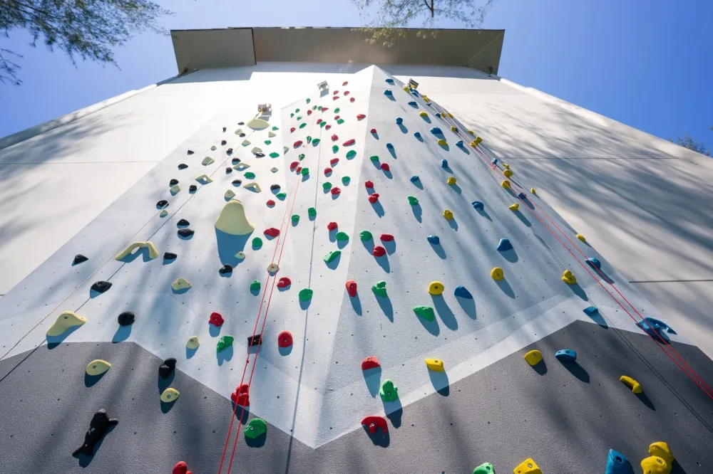 mur escalade
